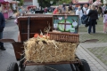 003-IMG_5701-1200x800